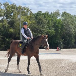 Riding-Academy