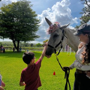 Unicorn-Experience