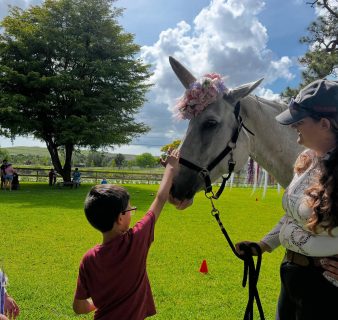 Unicorn-Experience