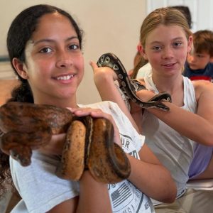 petting-zoo